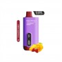 Saltica Ekranlı 12000 Strawberry Mango Disposable Vape Bar