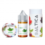 Saltica Spearmint Salt Likit